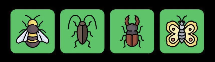 FLIES Daily Combo 4 May 2025